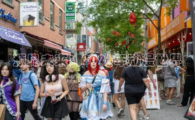 51动漫网
